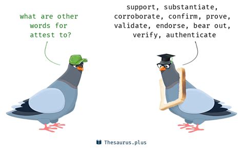 attest synonym